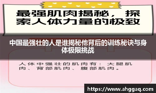 易倍体育EMC