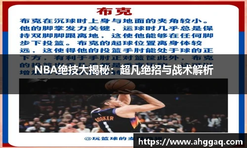 emc易倍
