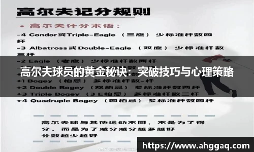易倍体育官方网站