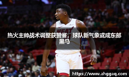热火主帅战术调整获赞誉，球队新气象或成东部黑马