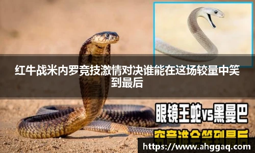 易倍体育官方网站