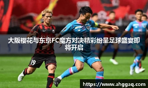 易倍体育官方网站