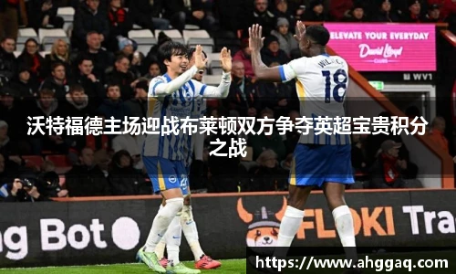emc易倍