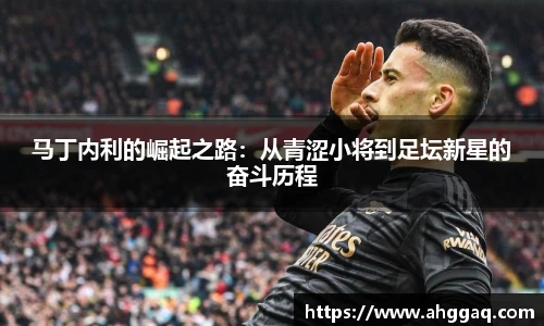 emc体育官方下载