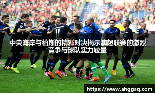 emc易倍